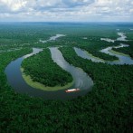 Amazonia ecuatoriana: Viaje a la selva del jaguar