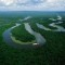 Amazonia ecuatoriana: Viaje a la selva del jaguar